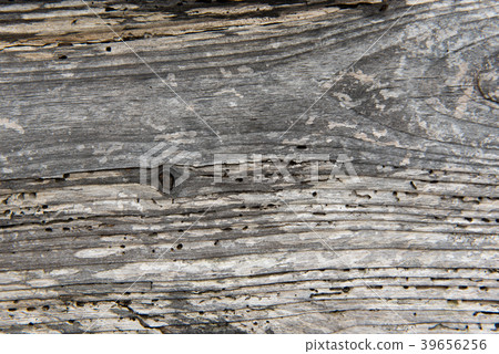 Texture natural background Wood Wood Board Wood Nature Texture natural background Wood Wood Board Wood Nature 39656256