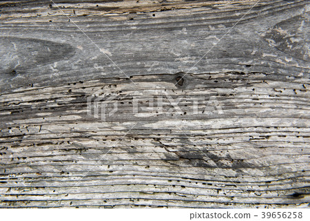 Texture natural background Wood Wood Board Wood Nature Texture natural background Wood Wood Board Wood Nature 39656258