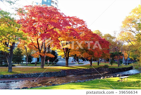 札幌和中島公園的秋天風景 札幌和中島公園的秋天風景 39656634