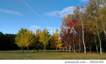 札幌和Makomanai公園秋葉 札幌和Makomanai公園秋葉 39656760