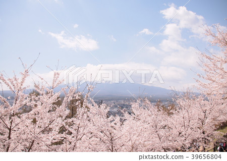 雲隱藏Sakurajima Fujisan 39656804