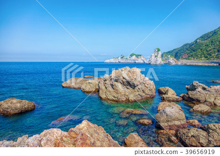 白崎(八月白崎海洋公園) 白崎(八月白崎海洋公園) 39656919