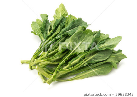 Nozawana sprouts 39658342