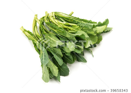 Nozawana sprouts Nozawana sprouts 39658343