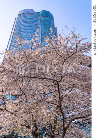 Tokyo Prefecture Roppongi Hills in spring 39658506