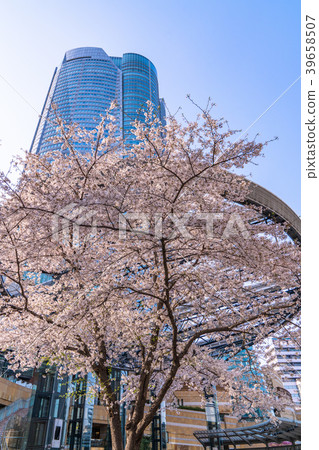 Tokyo Prefecture Roppongi Hills in spring 39658507