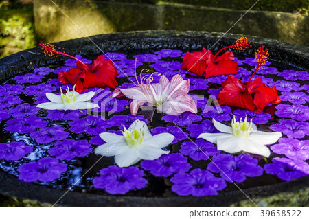 浮在水面上的花 浮在水面上的花 39658522