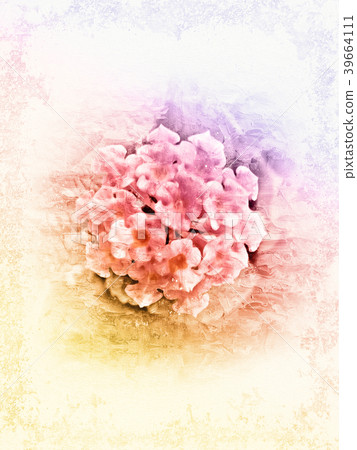 flower blooming on colorful watercolor painting flower blooming on colorful watercolor painting 39664111