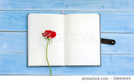 Red rose on a notebook and blue wooden table. Red rose on a notebook and blue wooden table. 39664693