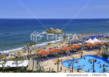Yangyang Gun Beach 39664736