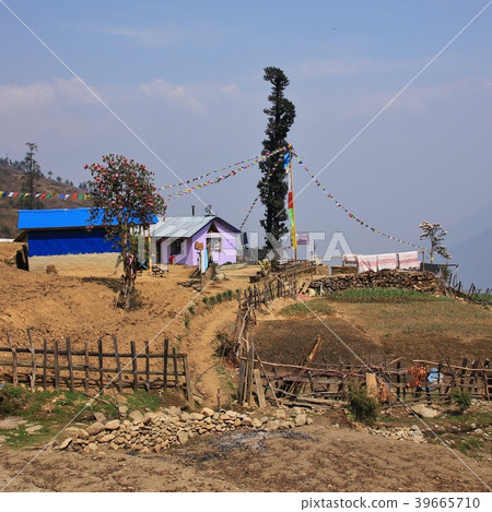 Spring day in the Langtang National Park, Nepal. Spring day in the Langtang National Park, Nepal. 39665710