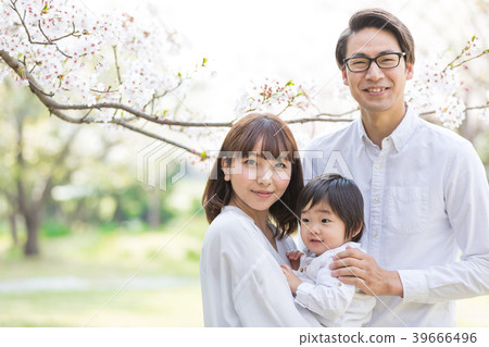 櫻花盛開的家庭 39666496