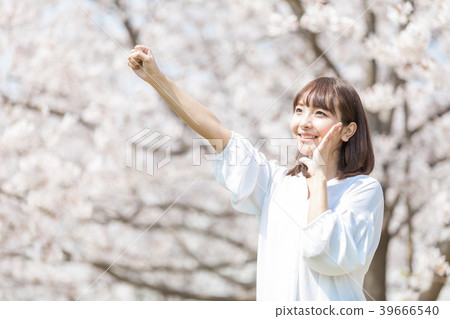 櫻花的女人 櫻花的女人 39666540