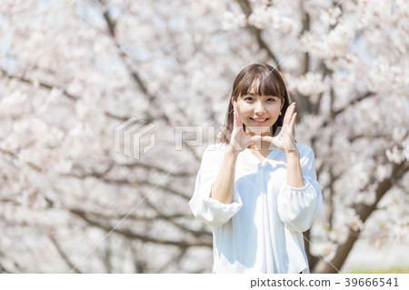 櫻花的女人 39666541