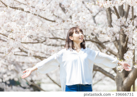 櫻花的女人 39666731