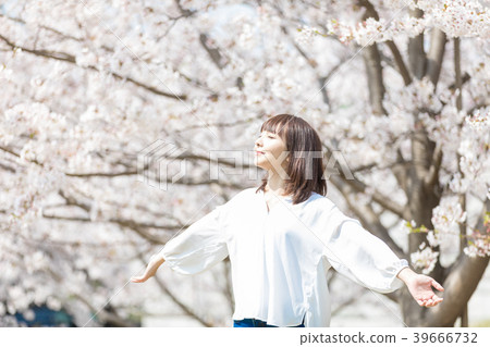 Cherry blossom woman Cherry blossom woman 39666732