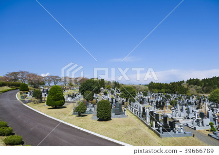 墓地墓地 39666789