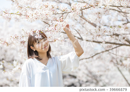 Cherry blossom woman 39666879