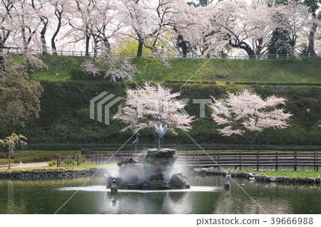 前橋公園Sachino池塘 前橋公園Sachino池塘 39666988