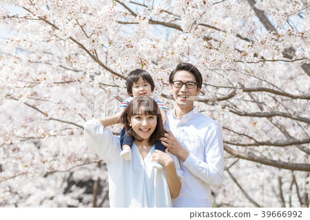 櫻花盛開的家庭 39666992