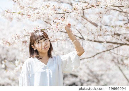 櫻花的女人 櫻花的女人 39666994