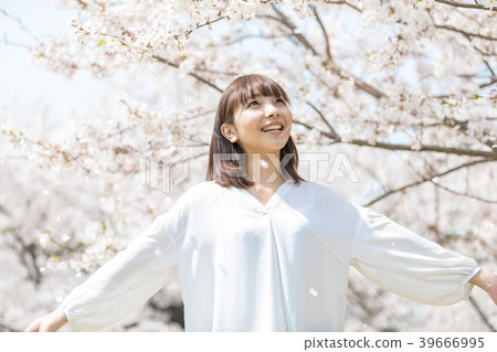 櫻花的女人 39666995