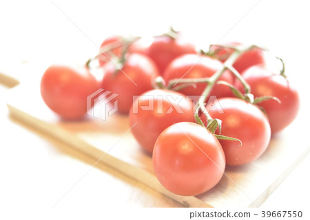 著名的番茄 39667550