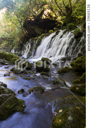 [Akita Prefecture] Mototaki Shimizu 39669136