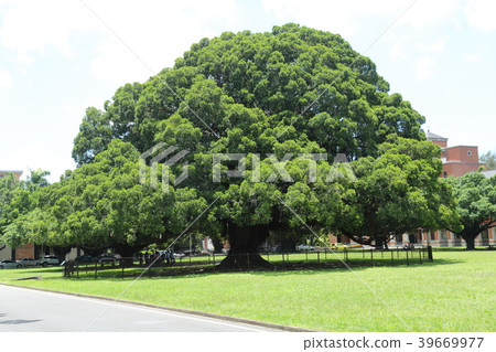 台南旅遊區和成功大學悅榕莊 39669977