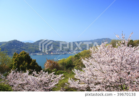 Cherry blossoms of Seto Park in Ototo Cherry blossoms of Seto Park in Ototo 39670138