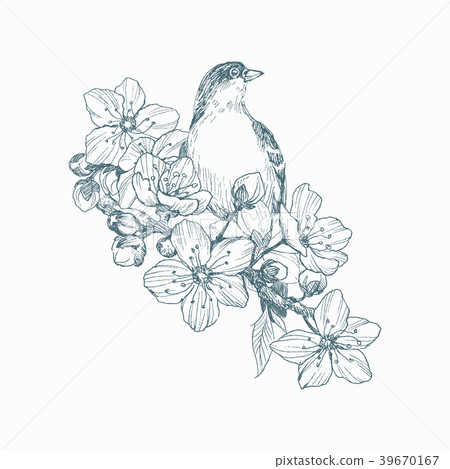 Vector illustration of hand drawn bird on blooming 39670167