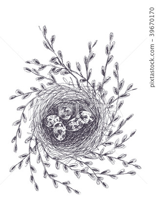 Vector illustration of hand drawn nest with 39670170