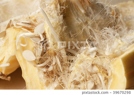 Old  marrow with seedlings inside 39670298