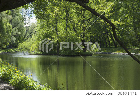 Landscape with a pond 39671471