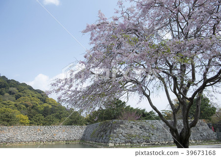 tourist spot tourist spot 39673168