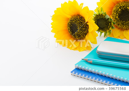 Learning image 39675568