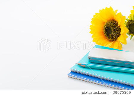 Learning image 39675569