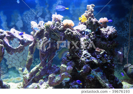 sea aquarium background 39676193