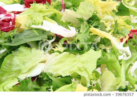 fresh color lettuce fresh color lettuce 39676357