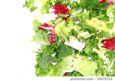 fresh color lettuce fresh color lettuce 39676358