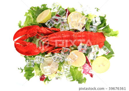 orange lobster isolated orange lobster isolated 39676361