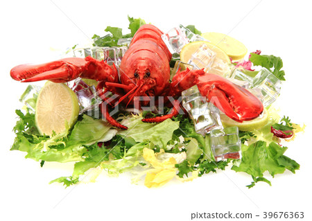 orange lobster isolated orange lobster isolated 39676363