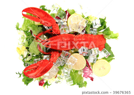 orange lobster isolated orange lobster isolated 39676365
