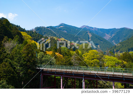 Mountains that color in spring Tokyo Okutama pigeon's nest Ohashi a Mountains that color in spring Tokyo Okutama pigeon's nest Ohashi a 39677129