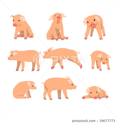 Cute little pig set, funny piggy in different Cute little pig set, funny piggy in different 39677773