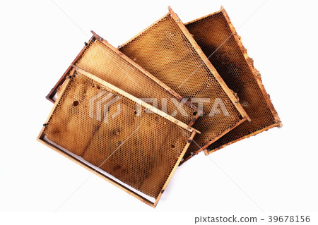 honey combs frames 39678156