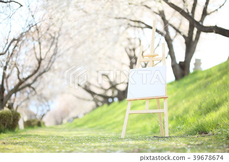 Cherry blossoms campus 39678674