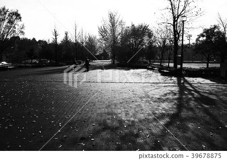 Winter walk Winter walk 39678875