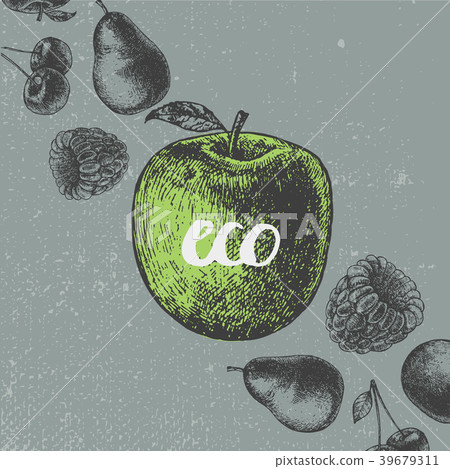 Vector vintage food illustration. hand drawn Vector vintage food illustration. hand drawn 39679311