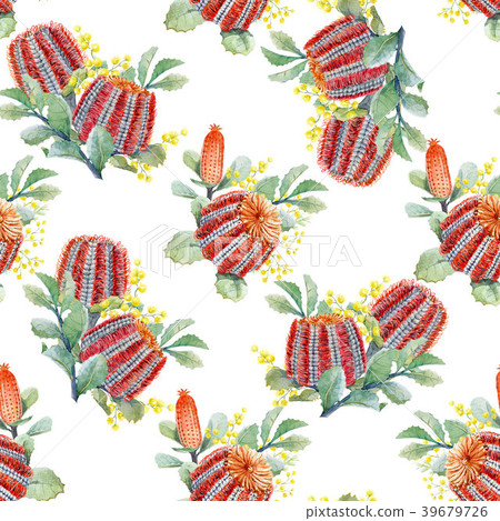 Watercolor australian banksia floral pattern 39679726